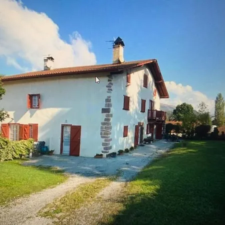 Alcatenia Apartment