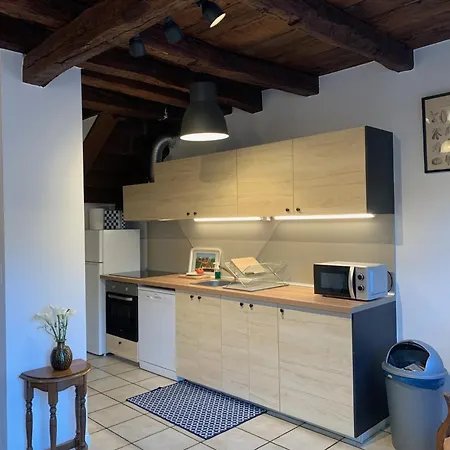 Alcatenia Apartment Saint-Jean-Pied-de-Port